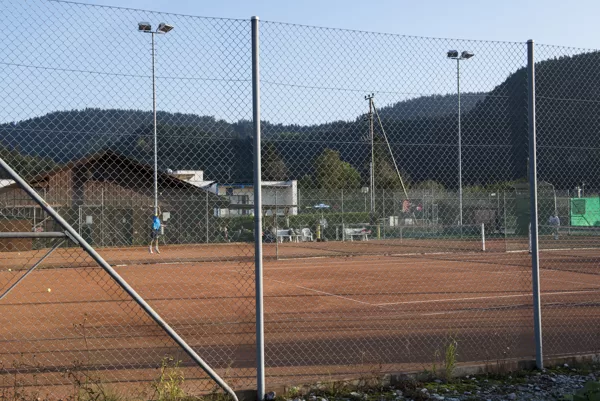 Les terrains